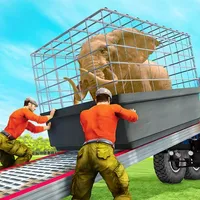 Cargo truck transport and hunt