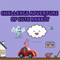 Challenge adventure of cute rabbit