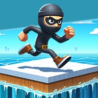 Coin thief 3d race