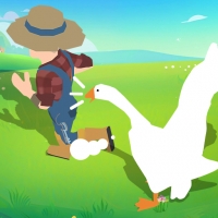 Crazy goose simulator