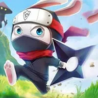 Ninja Rabbit Play