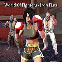 World of fighters iront fists
